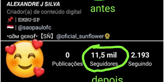 Imagem do grupo de WhatsApp VDS VENDA DE SEGUIDORES 🚀