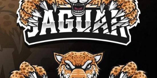 Imagem do grupo de WhatsApp Jaguar🧡🤍fak no vice online