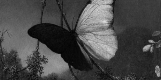 Imagem do grupo de WhatsApp 𝐇𝐎𝐒𝐏𝐈𝐂𝐈𝐎シ︎