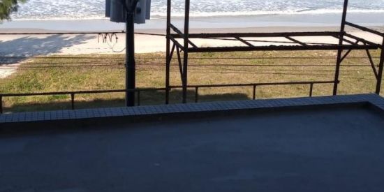 Imagem do grupo de WhatsApp Amizade e matinhos