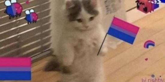 Imagem do grupo de WhatsApp Eternamente bissexual .