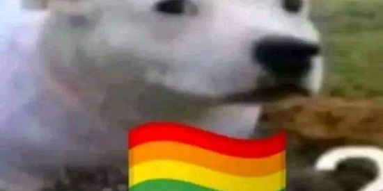 Imagem do grupo de WhatsApp Patriota do asilo