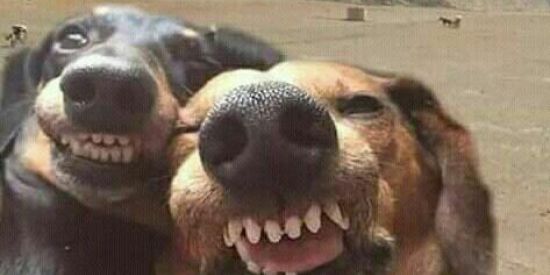 Imagem do grupo de WhatsApp ☠☢Zueira ♔🎭