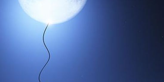 Imagem do grupo de WhatsApp 𝑽𝑰𝑹𝑨𝑫𝑨 𝑫𝑨 𝑴𝑬𝑰𝑨 𝑵𝑶𝑰𝑻𝑬🌛