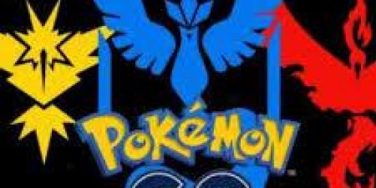Imagem do grupo de WhatsApp POKEMON GO FLY