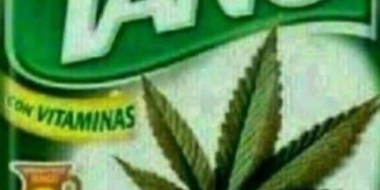 Imagem do grupo de WhatsApp Locura Locura