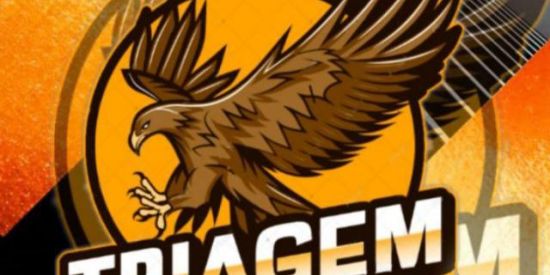 Imagem do grupo de WhatsApp Triagem Bnl