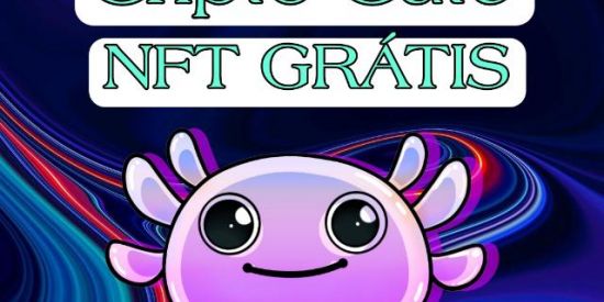 Imagem do grupo de WhatsApp NFT GRÁTIS