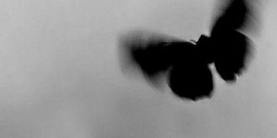 Imagem do grupo de WhatsApp 🍻𝓑𝓪𝓻𝔃𝓲𝓷𝓱𝓸🍻