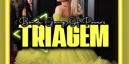 Imagem do grupo de WhatsApp 🛟•|Triagem|•🛟