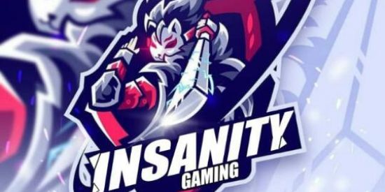 Imagem do grupo de WhatsApp RECRUTAMENTO INSANITY_GG