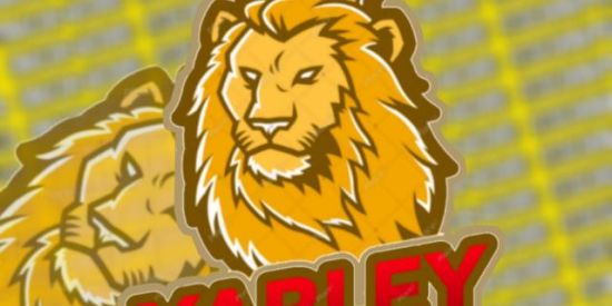 Imagem do grupo de WhatsApp Seguidores totalmente grátis 🦁🦊👄