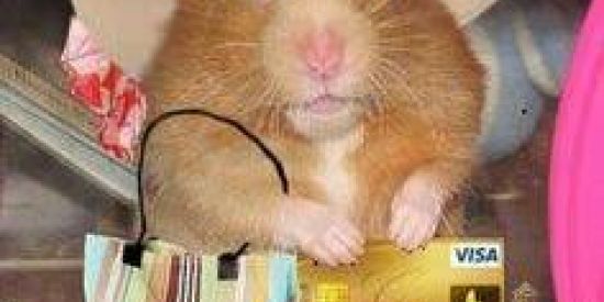 Imagem do grupo de WhatsApp Área 82🔥🌵