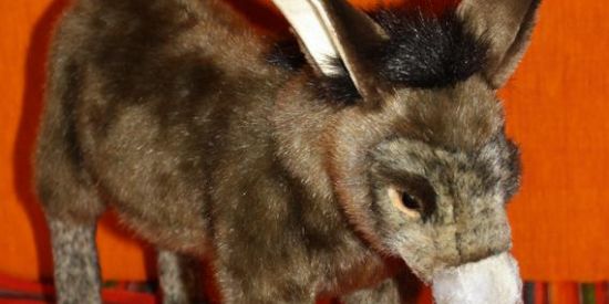 Imagem do grupo de WhatsApp Coca-cola espumante