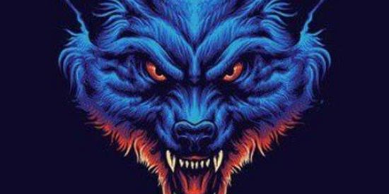 Imagem do grupo de WhatsApp lycan🌙