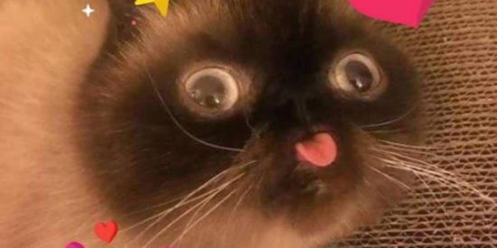 Imagem do grupo de WhatsApp 🌚🔥🫡𝕬𝖒𝖎𝖟𝖆𝖉𝖊𝖘ㅤ𝖉𝖆ㅤ𝕯𝖊𝖕𝖗𝖊𝖘𝖘𝖆𝖔🙈💕✨