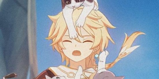 Imagem do grupo de WhatsApp ∙【House genshin】∙