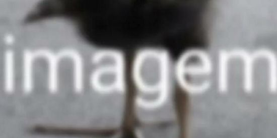 Imagem do grupo de WhatsApp 𝘕𝘢𝘵𝘴𝘶𝘩 𝘦𝘥𝘪𝘵𝘴 & 𝘷𝘪𝘣𝘦𝘴 </>