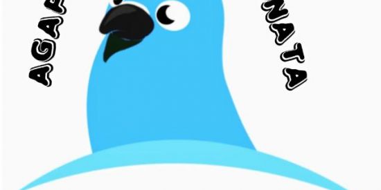 Imagem do grupo de WhatsApp AGAPORNIS PERSONATA