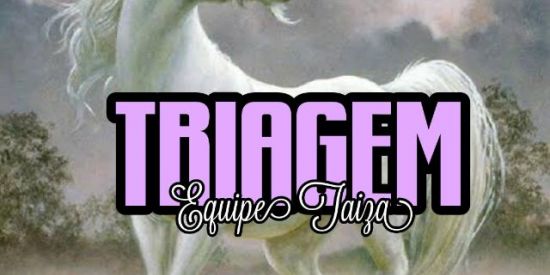 Imagem do grupo de WhatsApp •🦄TRIAGEM ²♜F†'ร♜🦄