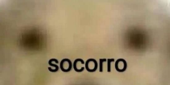 Imagem do grupo de WhatsApp monkey city k