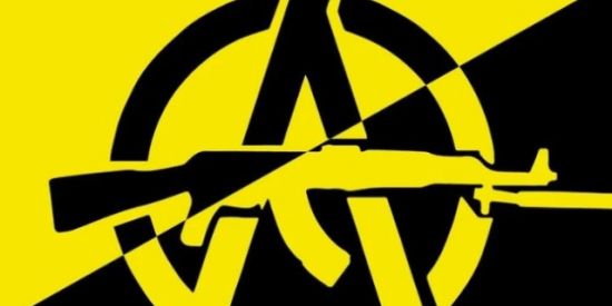 Imagem do grupo de WhatsApp Movimento Libertário / Ancap
