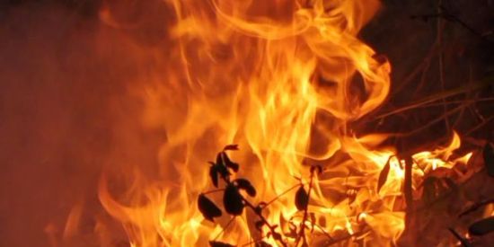 Imagem do grupo de WhatsApp 🚀seguidores e curtidas🚀