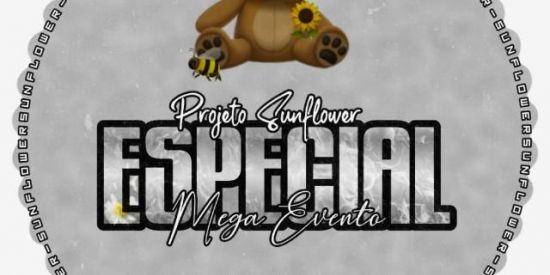 Imagem do grupo de WhatsApp Recrutamento Sunflower 🌻