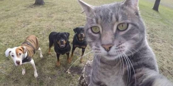 Imagem do grupo de WhatsApp 𝐒𝐡𝐢𝐭𝐩𝐨𝐬𝐭 𝐁𝐫𝐚𝐬𝐢𝐥 🇧🇷