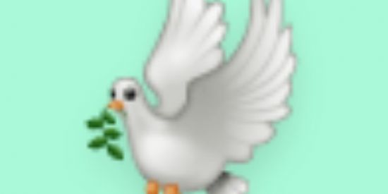 Imagem do grupo de WhatsApp 𝘊𝘢𝘯𝘥𝘰𝘮𝘣𝘭𝘦🕊️