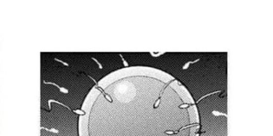 Imagem do grupo de WhatsApp 2° ano B 2°semestre