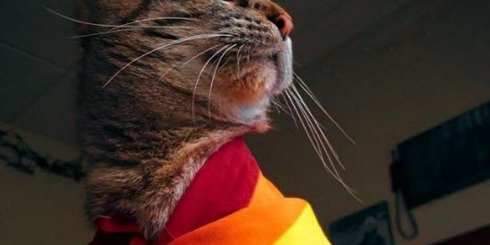 Imagem do grupo de WhatsApp Seja você mesmo🏳️‍🌈