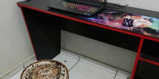 Imagem do grupo de WhatsApp Família Baiana