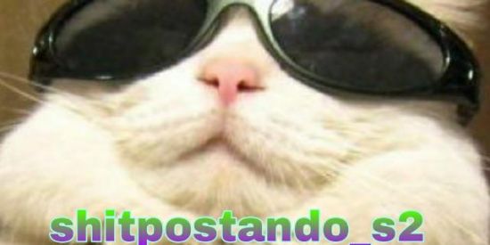 Imagem do grupo de WhatsApp SHITPOSTANDANDO_S2