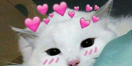 Imagem do grupo de WhatsApp Web amizades 🙃😏❤️💍