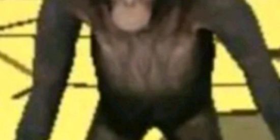 Imagem do grupo de WhatsApp Fds?