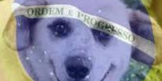 Imagem do grupo de WhatsApp ӨFFΣПƧIVΣ ЩΗIƬΣ BӨYƧ