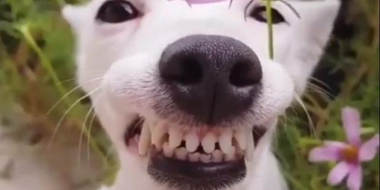 Imagem do grupo de WhatsApp Bests❤️🤙