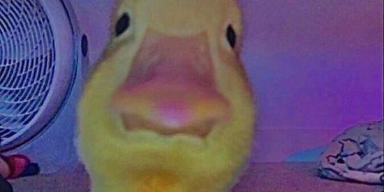 Imagem do grupo de WhatsApp ꧁ঔৣ☬✞ Bests friends ✞☬ঔৣ꧂