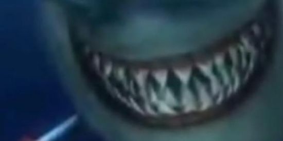 Imagem do grupo de WhatsApp ᴍᴇᴍᴇs ᴇ ᴄᴏɴᴠᴇʀsᴀs