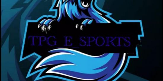 Imagem do grupo de WhatsApp TPG_E_SPORTS