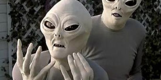 Imagem do grupo de WhatsApp 💚👽𝐀𝐋𝐈𝐄𝐍𝐒 𝐏𝐄𝐑𝐃𝐈𝐃𝐎𝐒👽💚