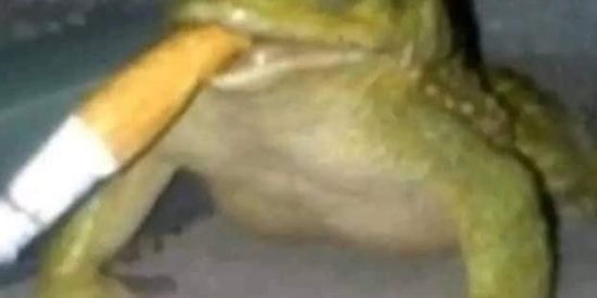 Imagem do grupo de WhatsApp RESENHA