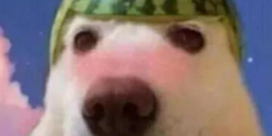 Imagem do grupo de WhatsApp WEB NAMORO