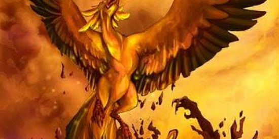 Imagem do grupo de WhatsApp 💫Fênix Anaels evolução⭐