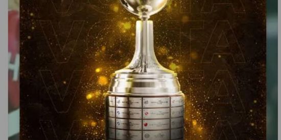 Imagem do grupo de WhatsApp Libertadores efotebol