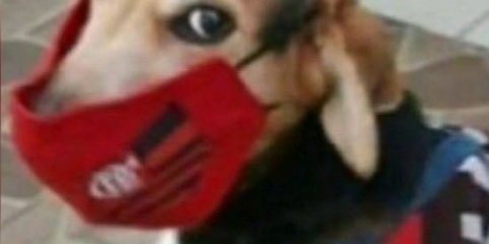 Imagem do grupo de WhatsApp 😷😷😷😷KKKKKZUEIRAMANO😷😷😷😷