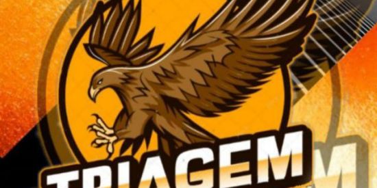 Imagem do grupo de WhatsApp 🐺|•TRIAGEM BNL•|🦊