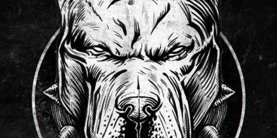 Imagem do grupo de WhatsApp 𝕿𝖍𝖊 𝕭𝖚𝖑𝖑𝖘 𝕲𝖞𝖓