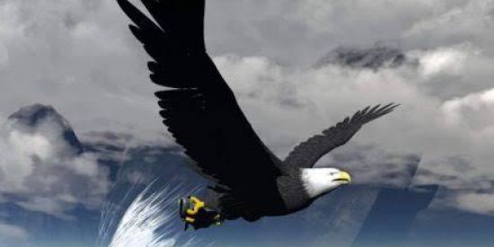 Imagem do grupo de WhatsApp Grupo de águia Roberta 55000